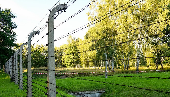 Barbed Wire Boundary Fence