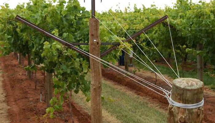 Galvanized Wire Outdoor Farm and Fencing