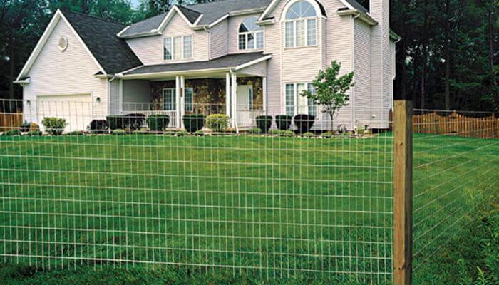 Fence Welded Wire Mesh Roll
