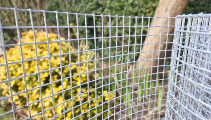Welded Wire Mesh for Agriculture