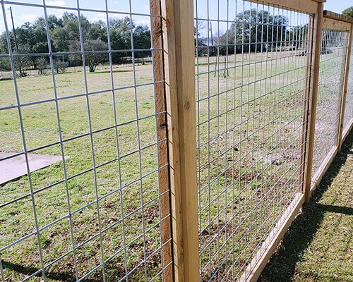 Welded Wire Mesh Panel Agriculture Use