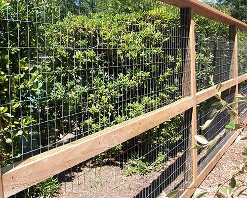 Welded Wire Mesh Sheet in Agriculture Plant Use Welded Wire Mesh Sheet in Agriculture Plant Use