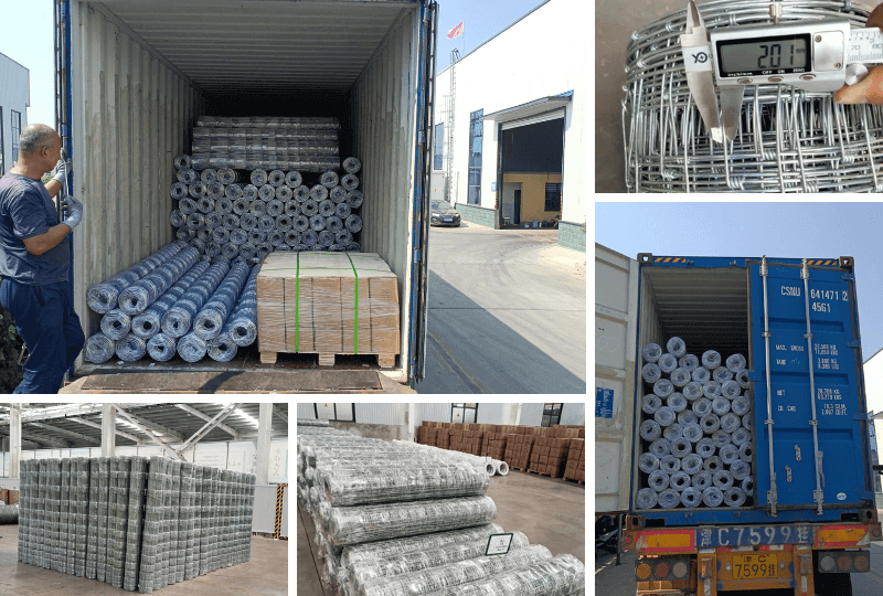 Cattle Fence Roll Packing and Loading Cattle Fence Roll Packing and Loading
