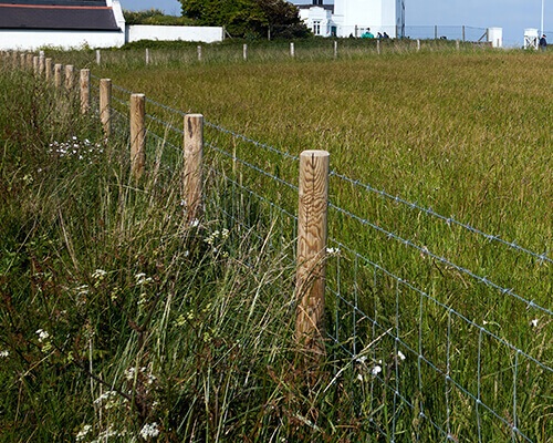 Cattle Fence for Marking Bundaries Cattle Fence for Marking Bundaries