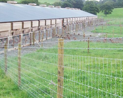 Cattle Fence for Preventing Predators Cattle Fence for Preventing Predators