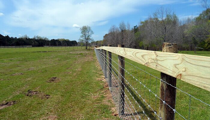 Shengsen Metal Cattle Fence Roll Shengsen Metal Cattle Fence Roll
