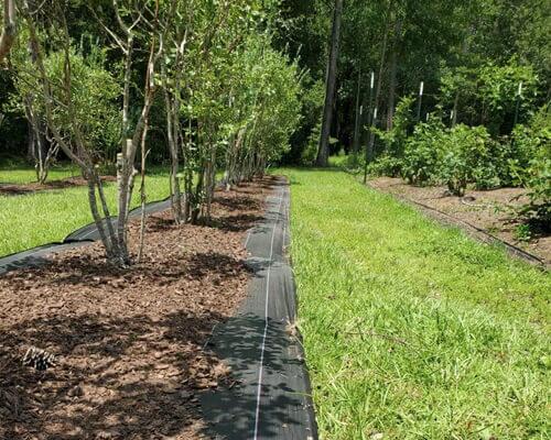 Weed Mat For Orchard Plant Weed Mat For Orchard Plant
