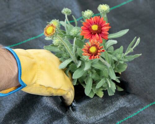 Weed Mat Installation Guide Weed Mat Installation Guide