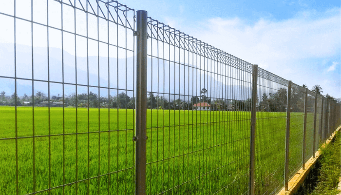 BRC Fencing with Roll Top And Roll Bottom