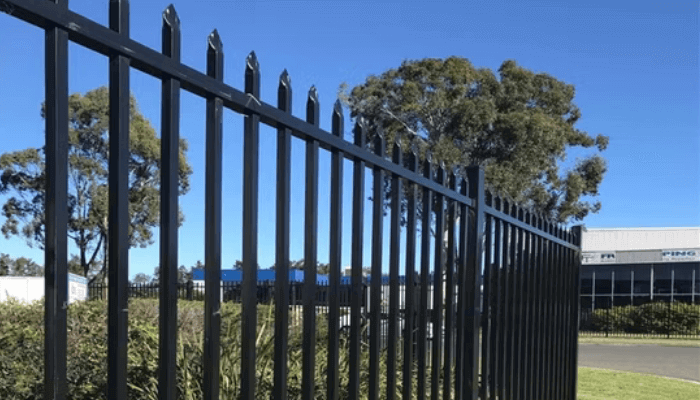 Tubular Steel Fencing with Top Spears