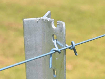 Star Picket Y Post With Nail (1)