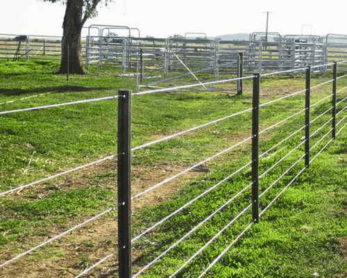 Star Picket for cattle and sheep stations