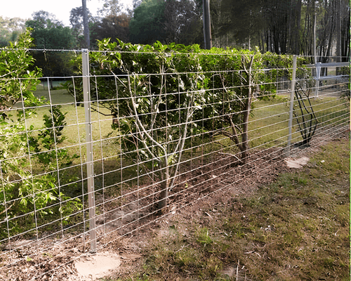 Star picket for Vineyard and orchards Star picket for Vineyard and orchards