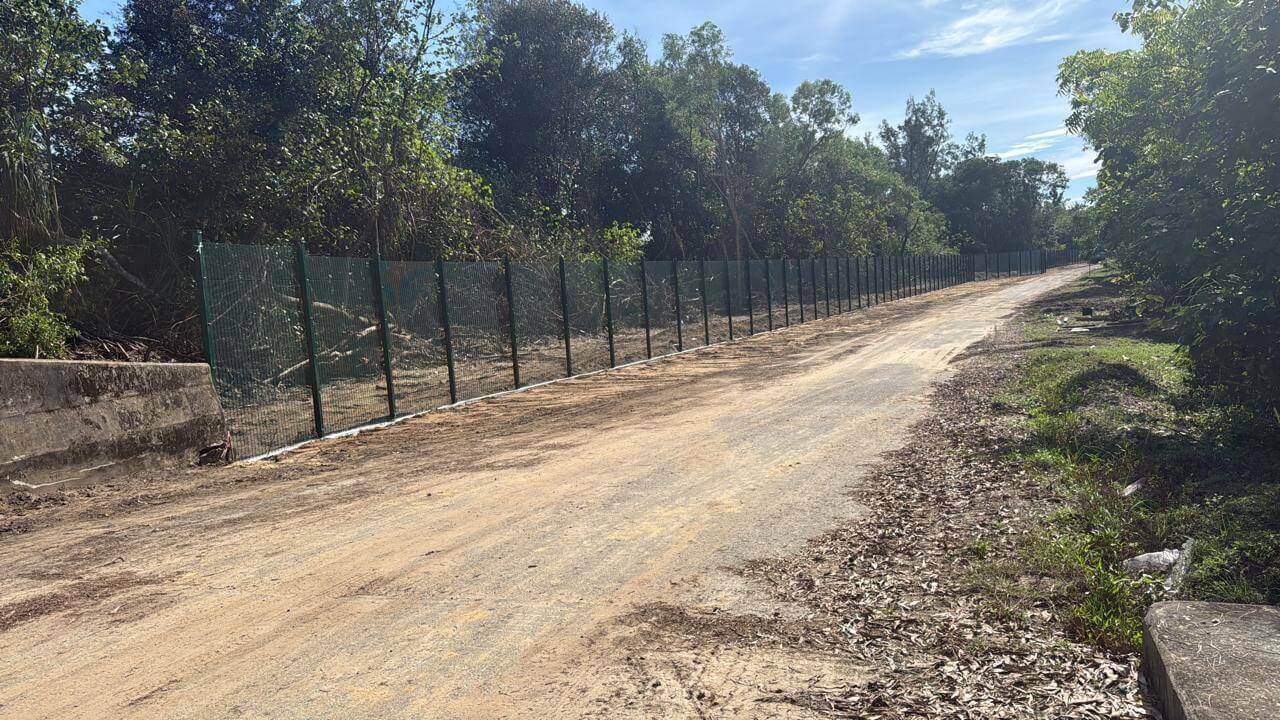 358 Mesh Fence Along the Forest Access Road